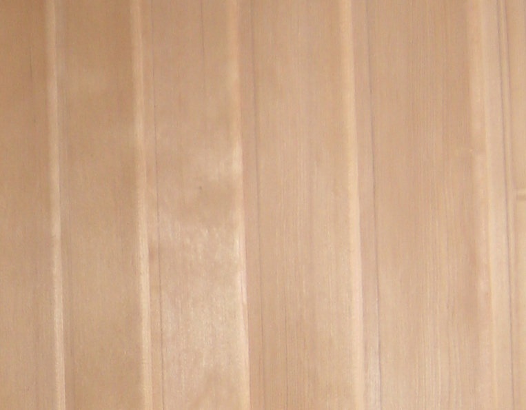 Palubka kanadská borovice hemlock